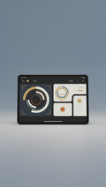 Custom Digital Identity Presentation on Tablet